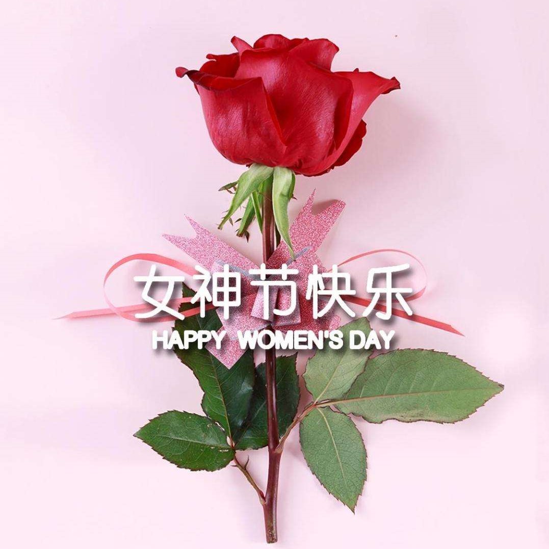 女神節(jié)特輯丨以醫(yī)療力量，筑女性健康
